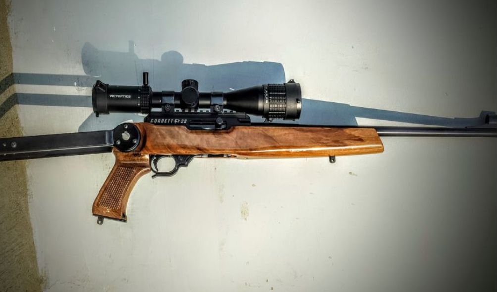 gun licence process in india